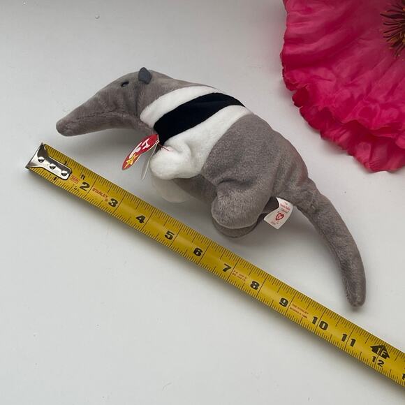 TY Beanie Babie Anteater "Ants" Birthdate November 7, 1997 - Picture 6 of 6